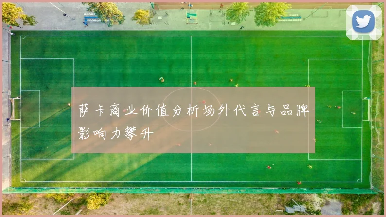 萨卡商业价值分析场外代言与品牌影响力攀升